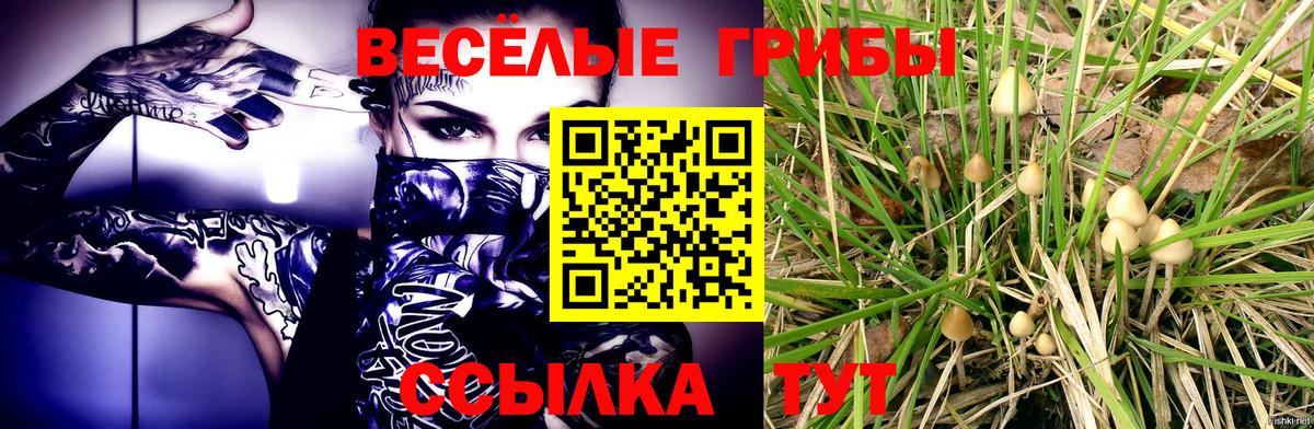 Галлюциногенные грибы ЛСД Аргун