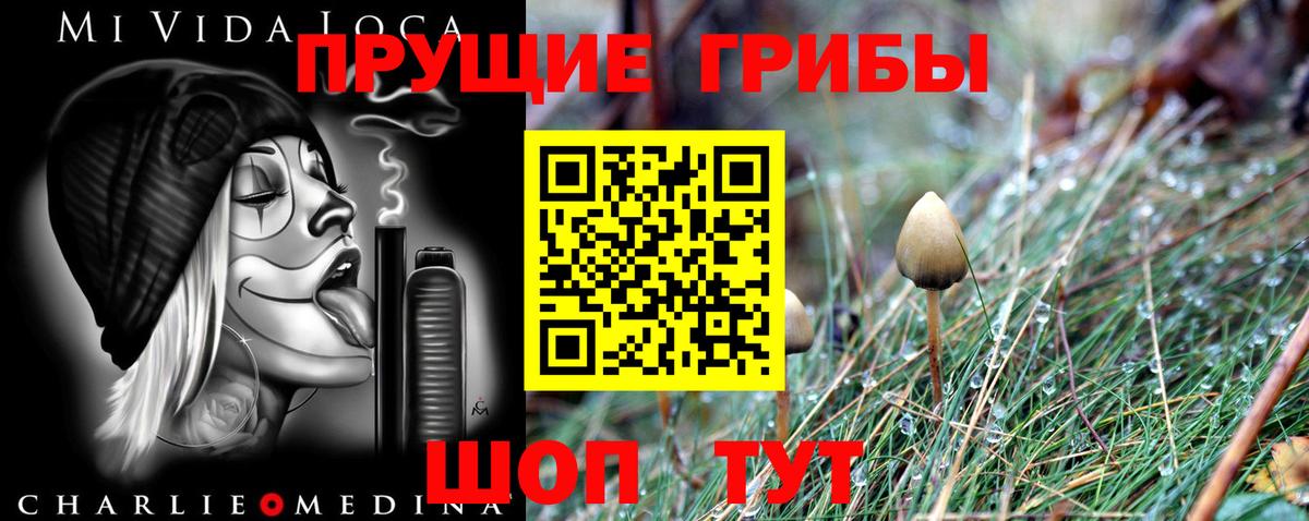 Псилоцибиновые грибы GOLDEN TEACHER  Псилоцибиновые грибы Magic Shrooms  Аргун  Вход с VPN 